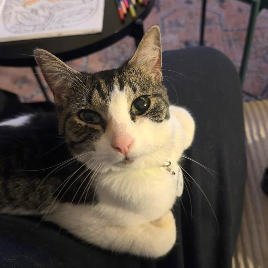 Buttercup