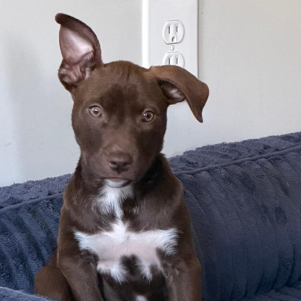 Sasha