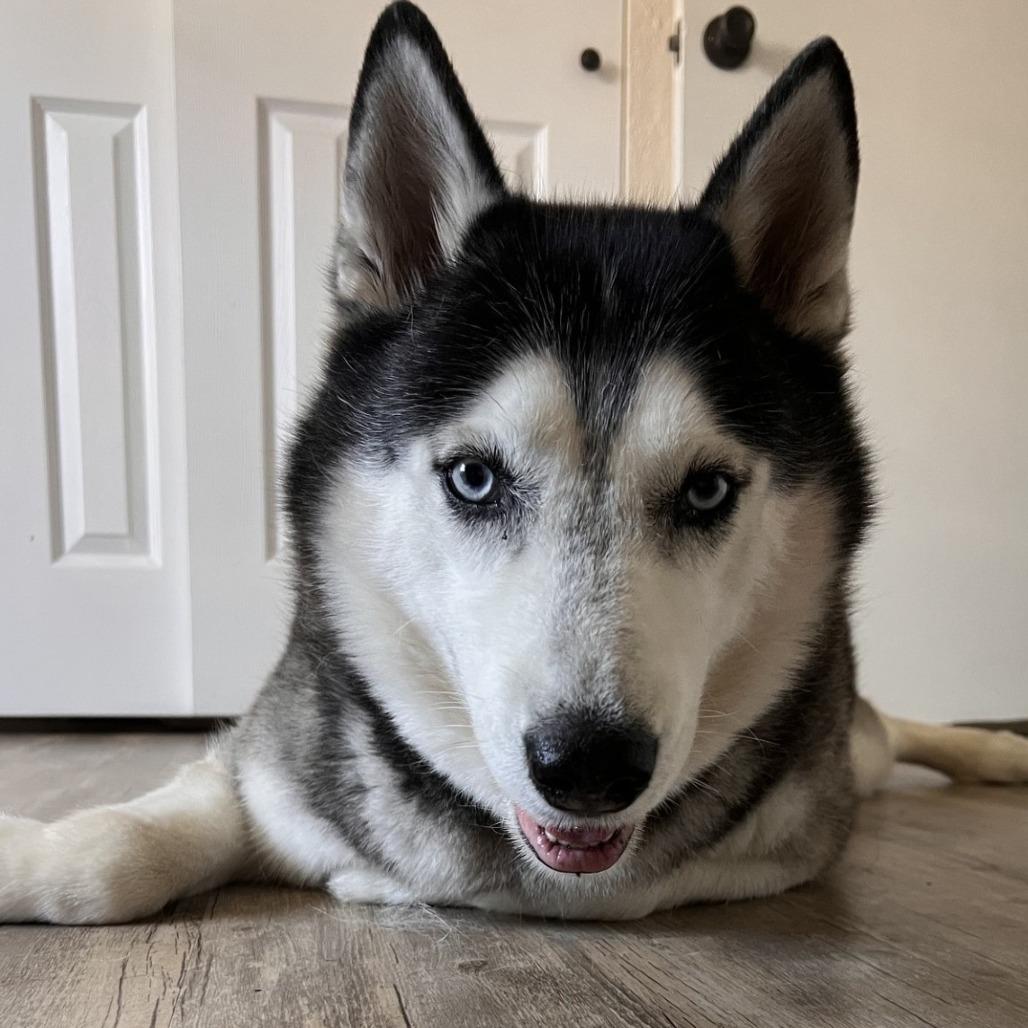 Kato