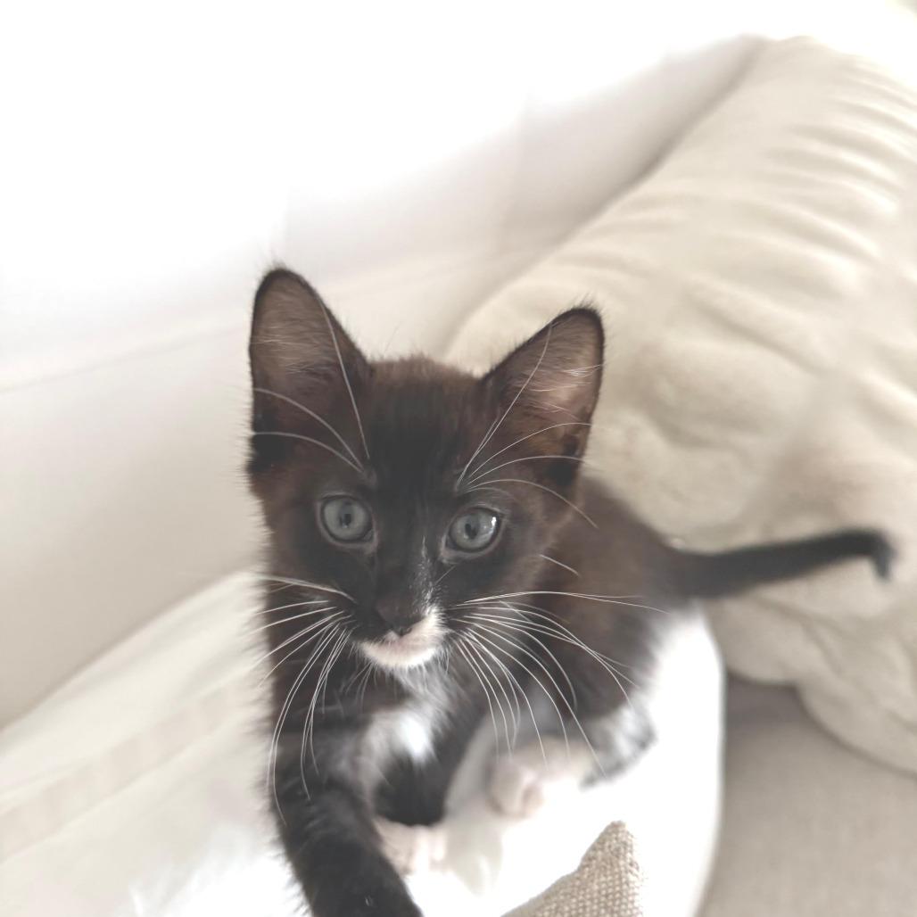 Itty Bitty