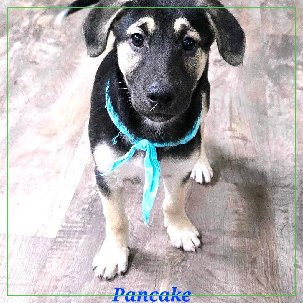 Pancake