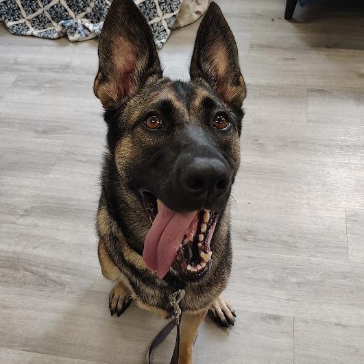 Hera