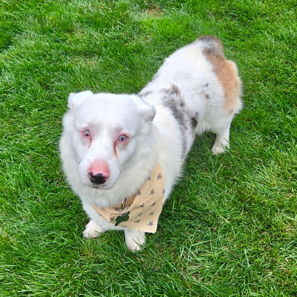 Milo