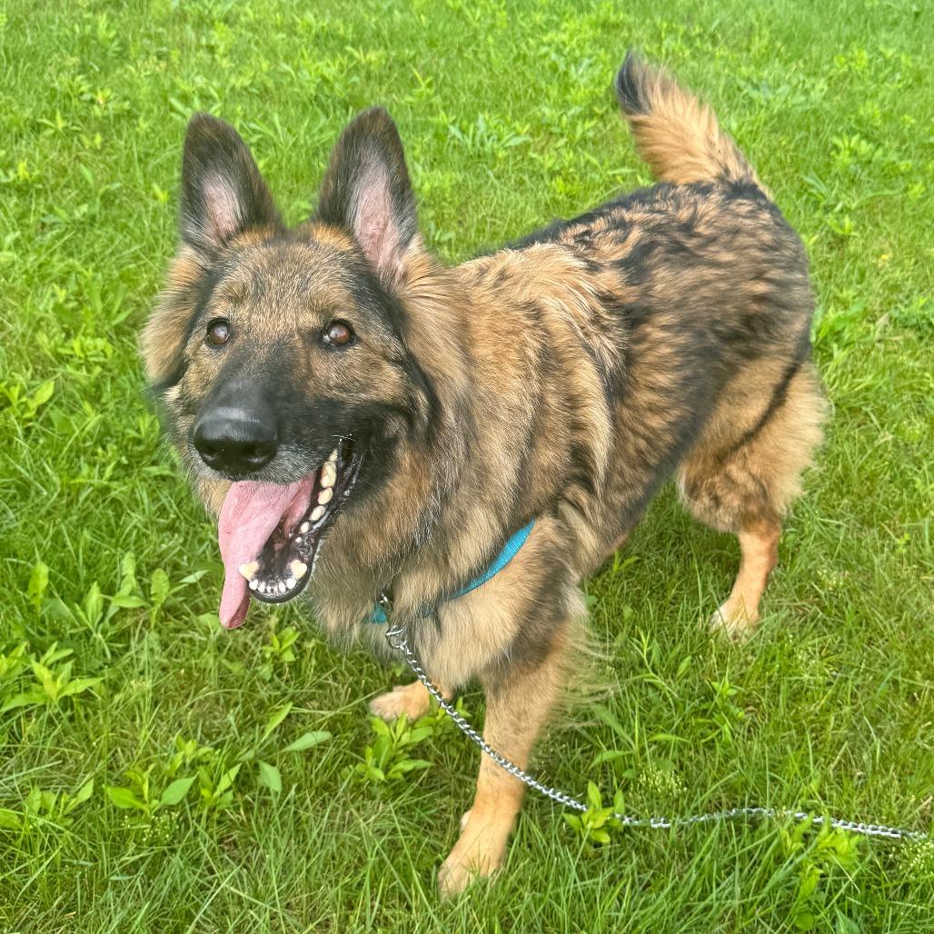 Frieda