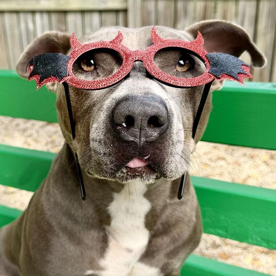 Dwayne