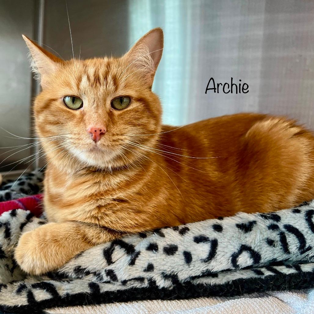 Archie