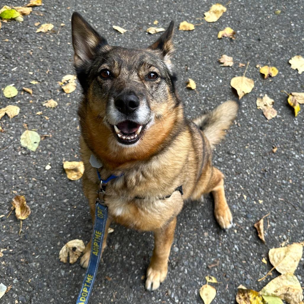 Kaia Bear