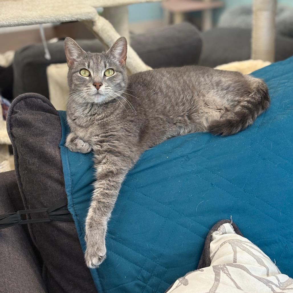 Maggie