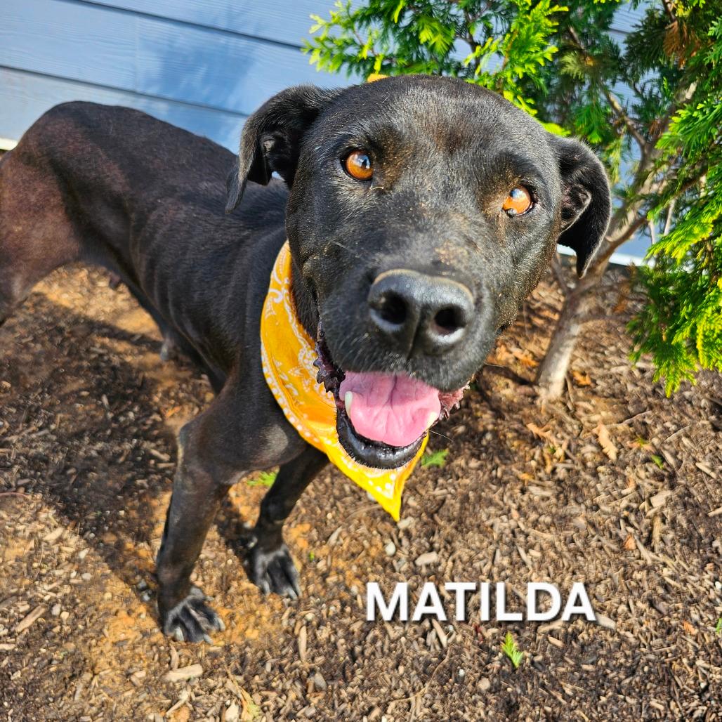 Matilda