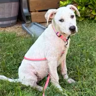 Ella
