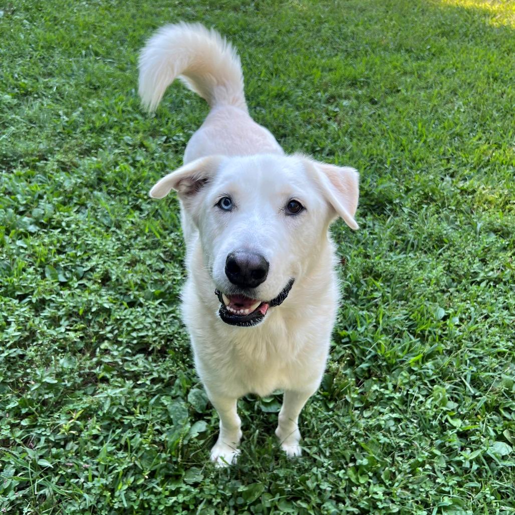 Dakota