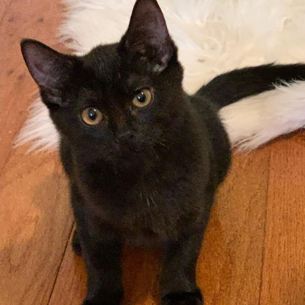 Smudge