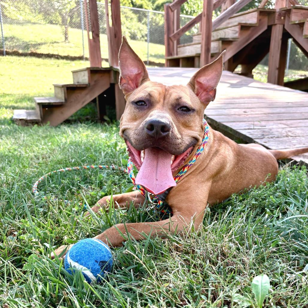 Ernie