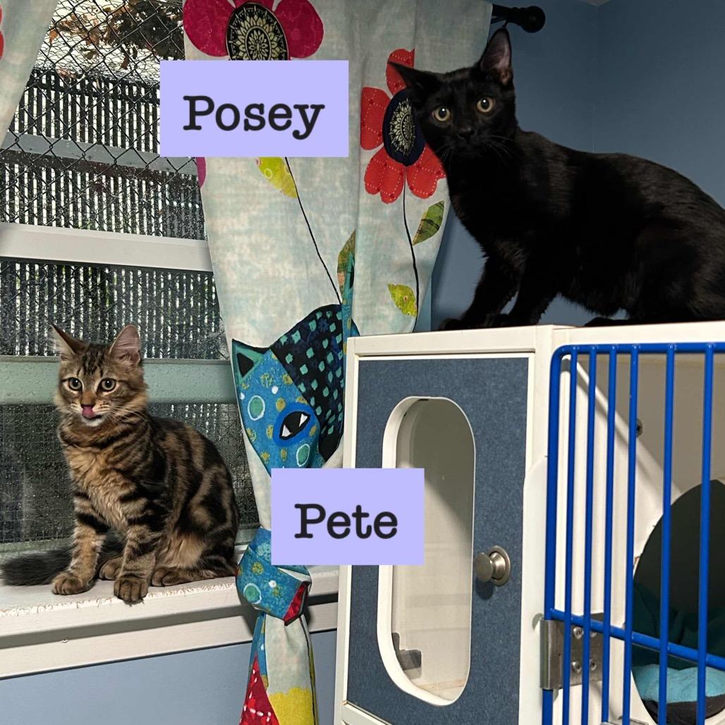 Pete