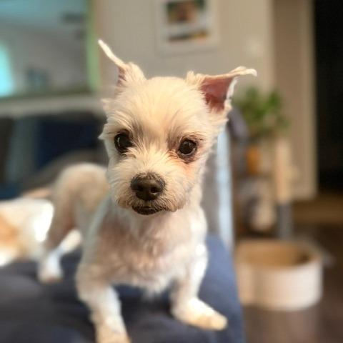 Charlie