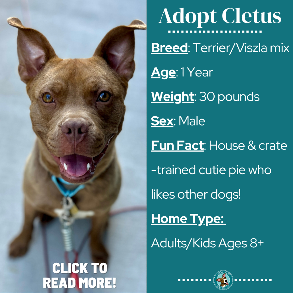 Cletus