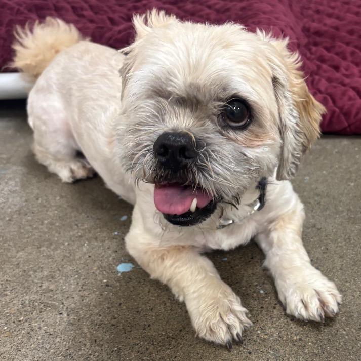 Max