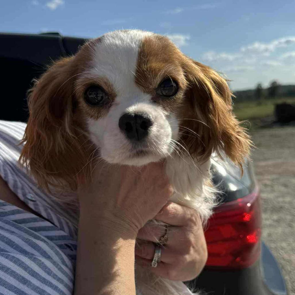 Nora