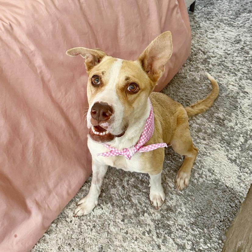 Delilah