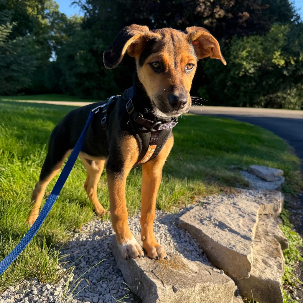 Duke