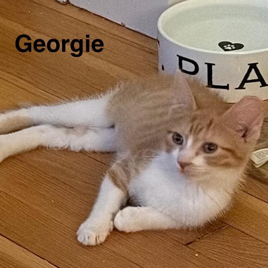 Princess Georgie