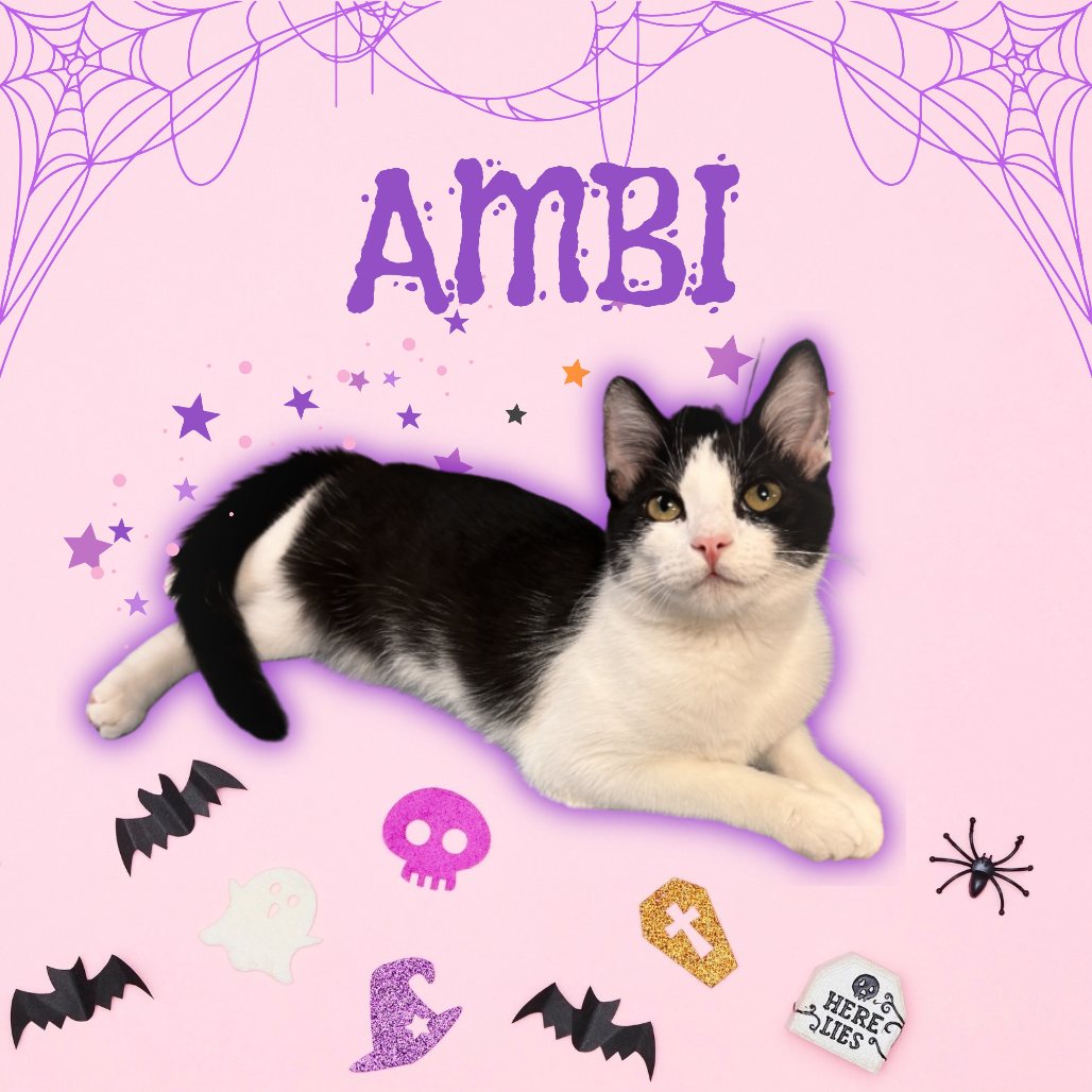 Ambi