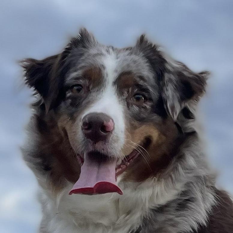 Loki