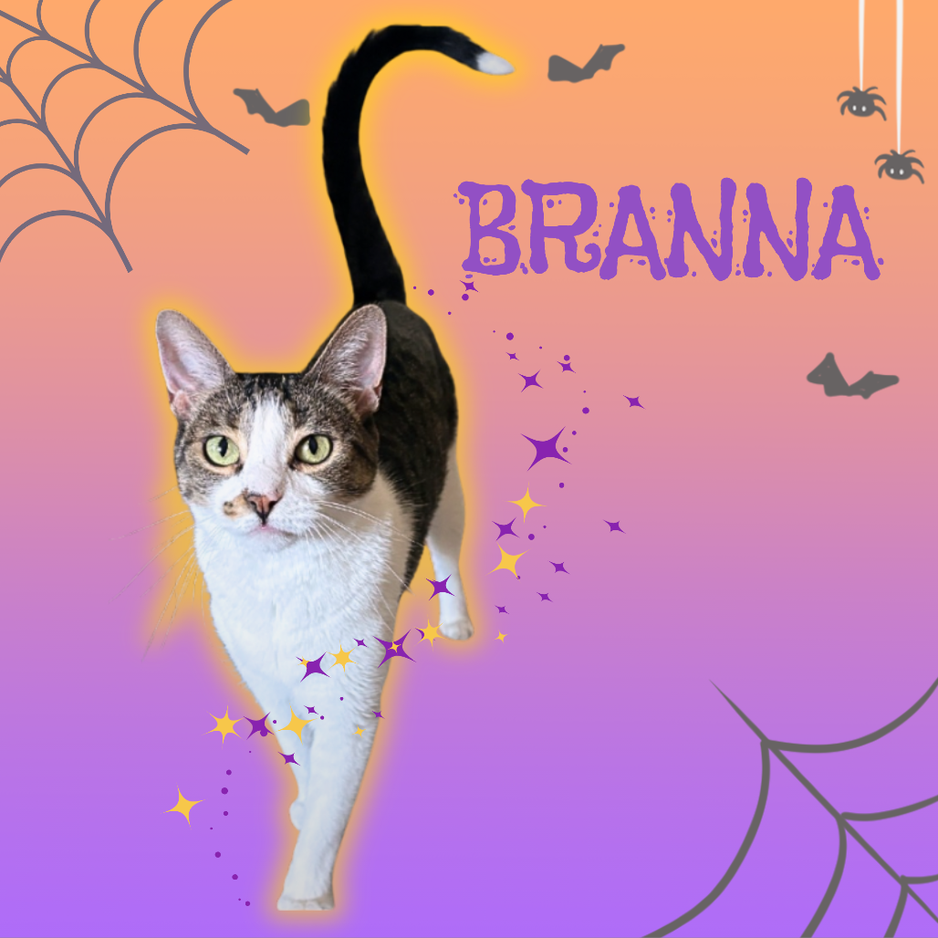 Branna 