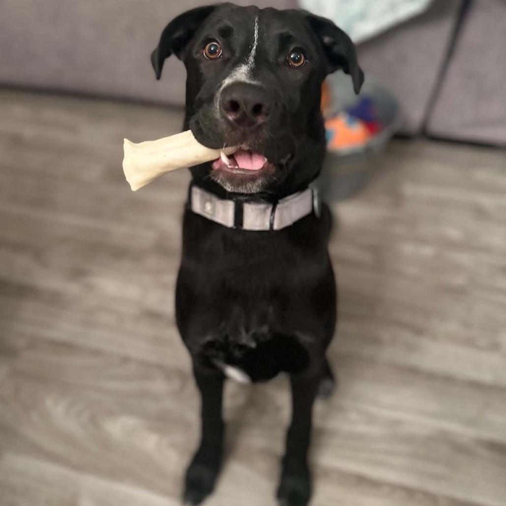 Onyx
