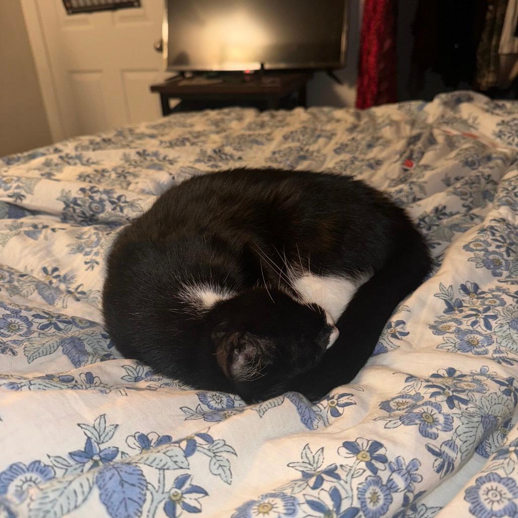 Hera