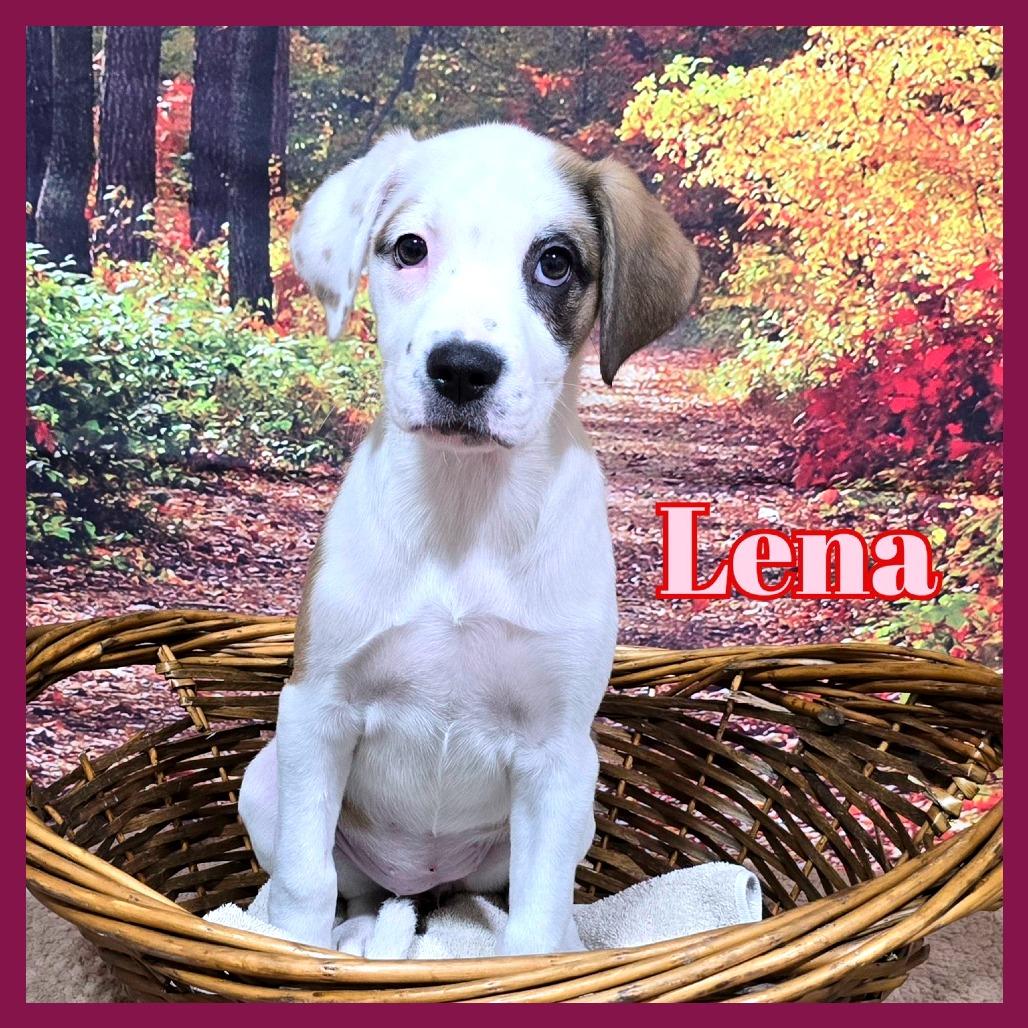 Lena