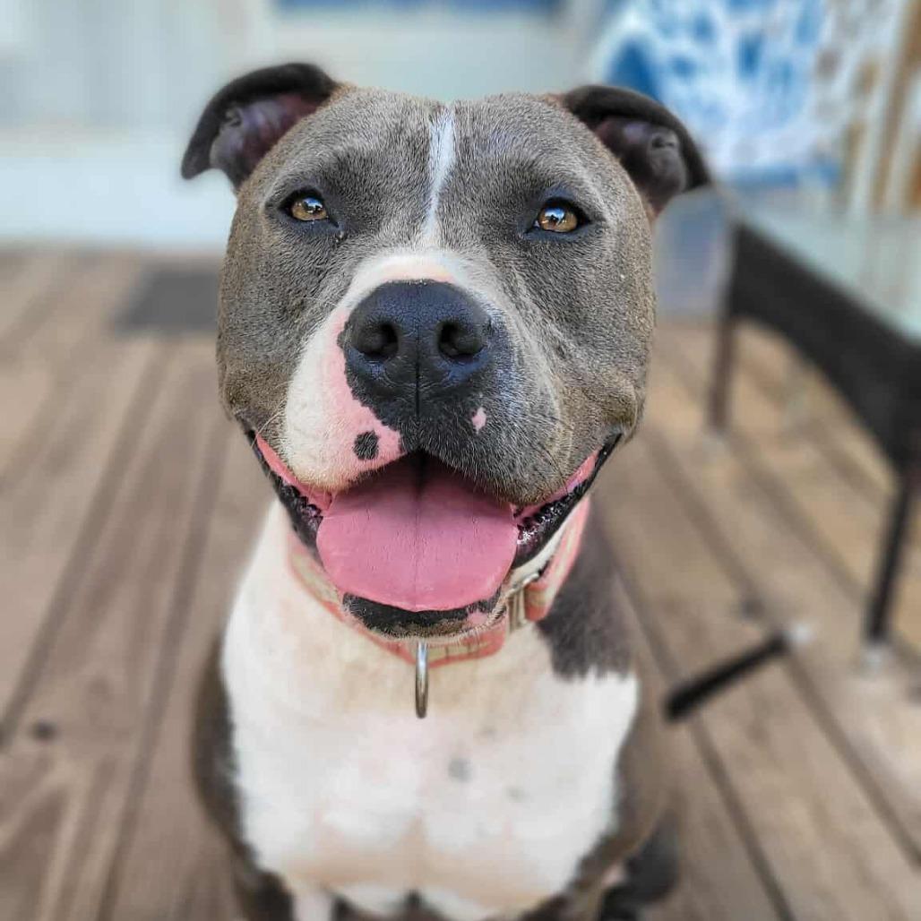 Selma