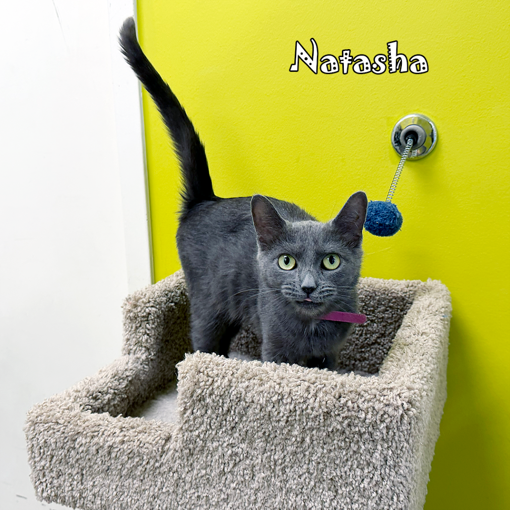 Natasha