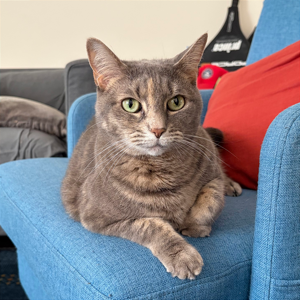 Chloe