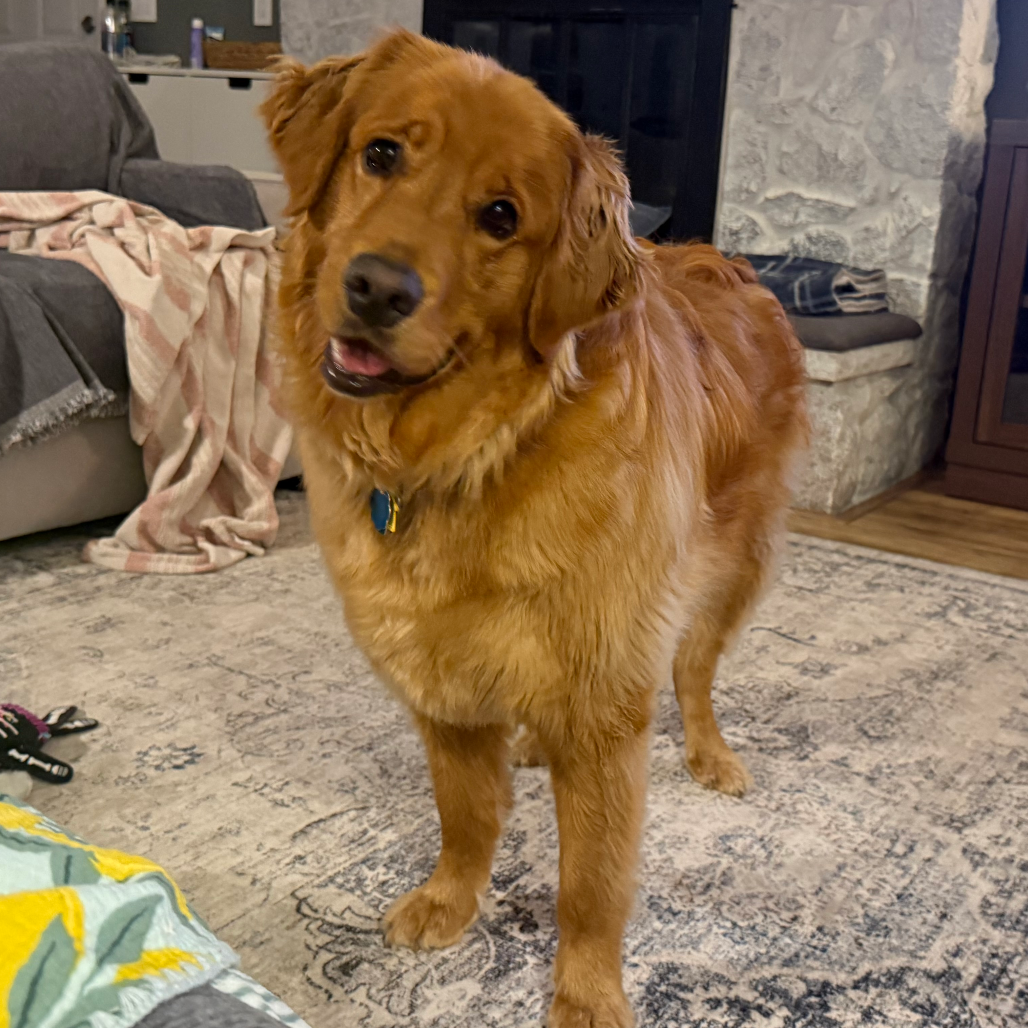 Sadie