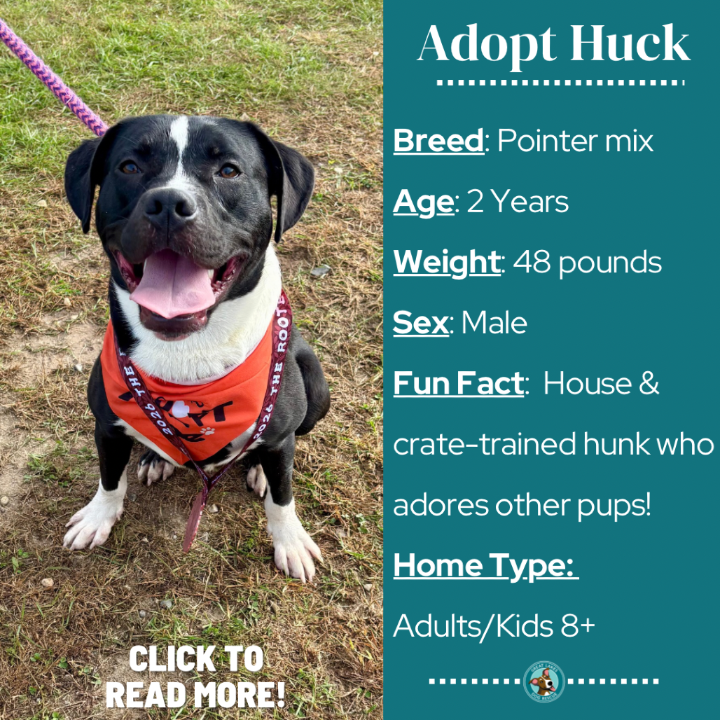 Huck
