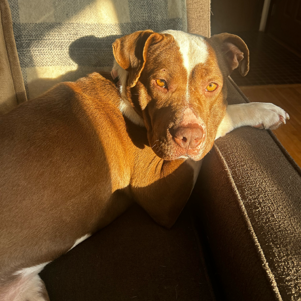 Jillian