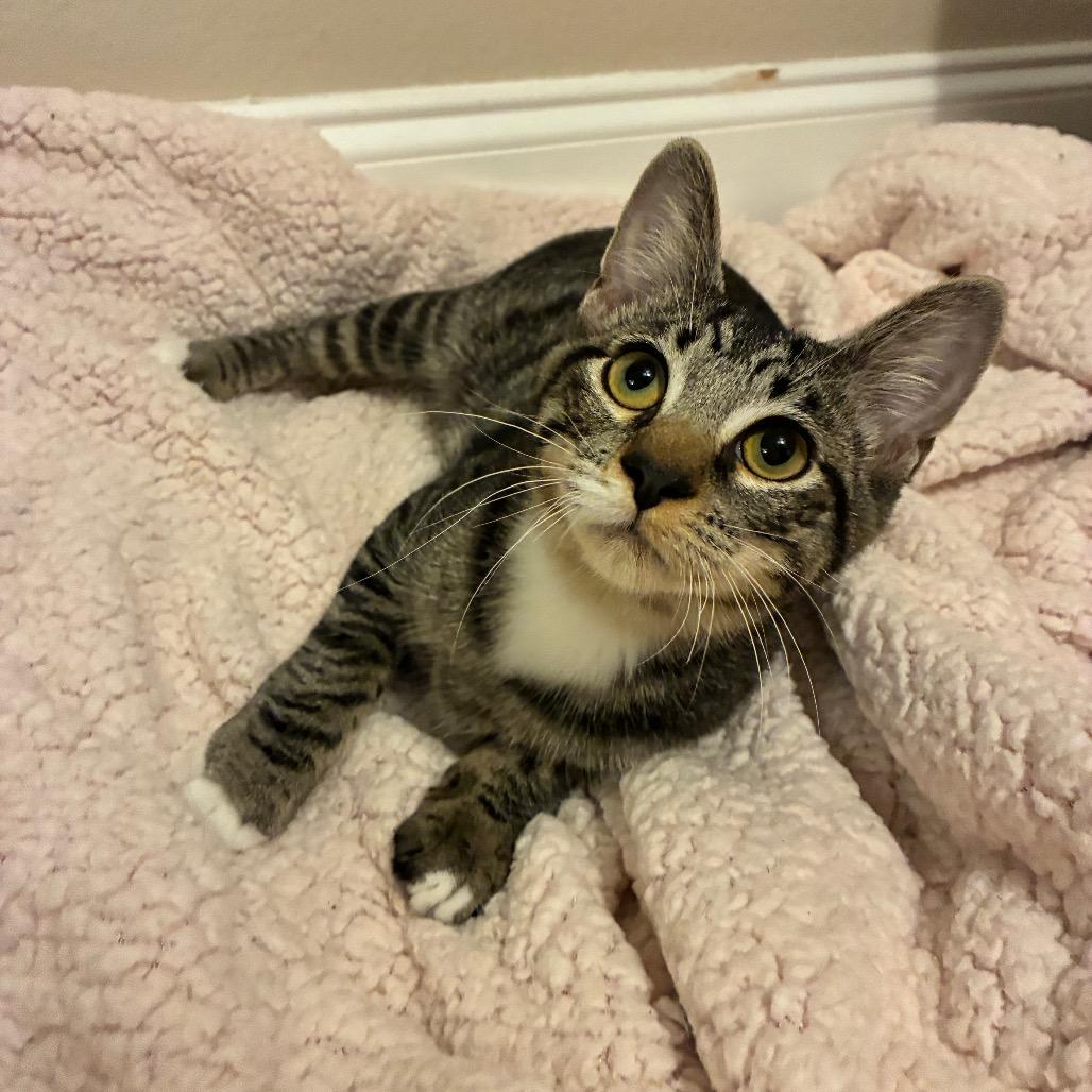 Milo