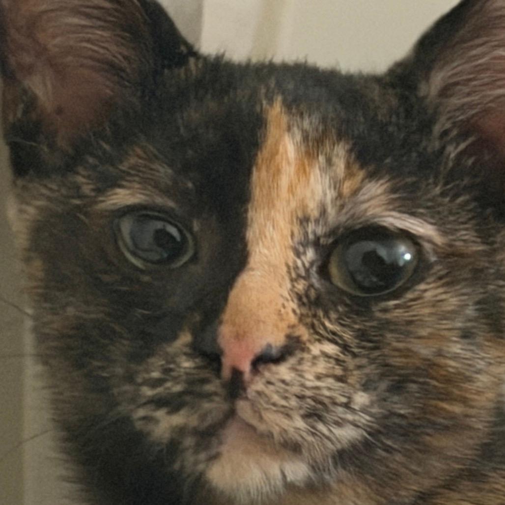 Bonnie