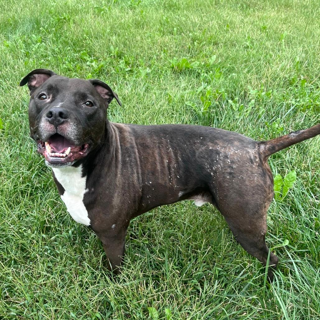 Rocco(P202601032)