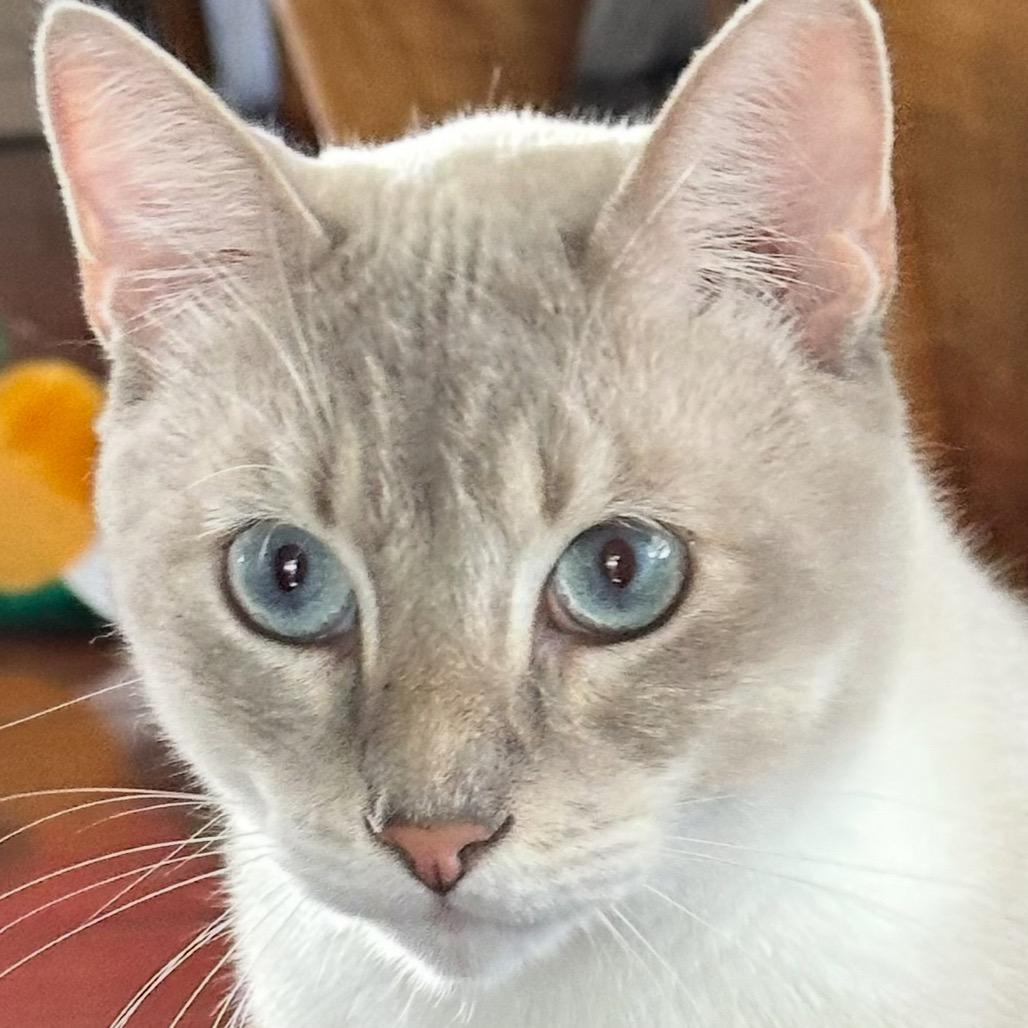 Theodore