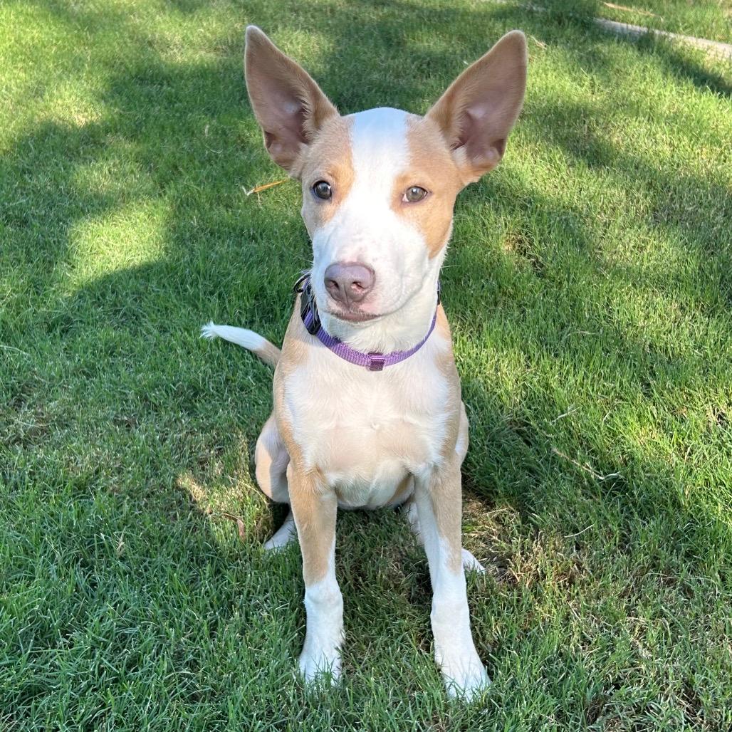 Winnie