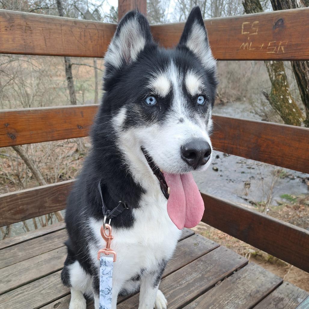 Nala