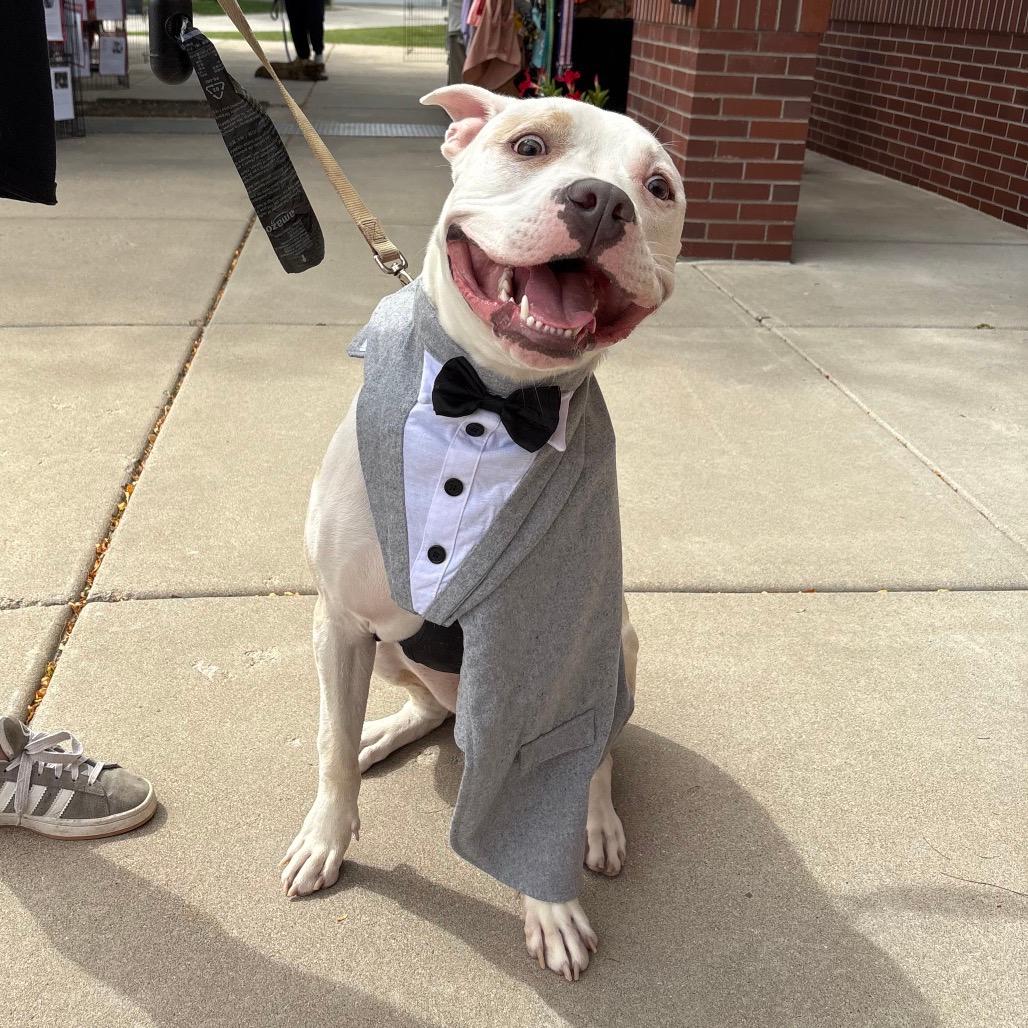 Roscoe