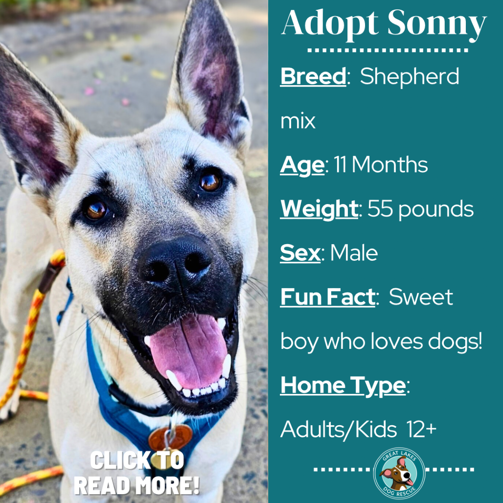 Sonny