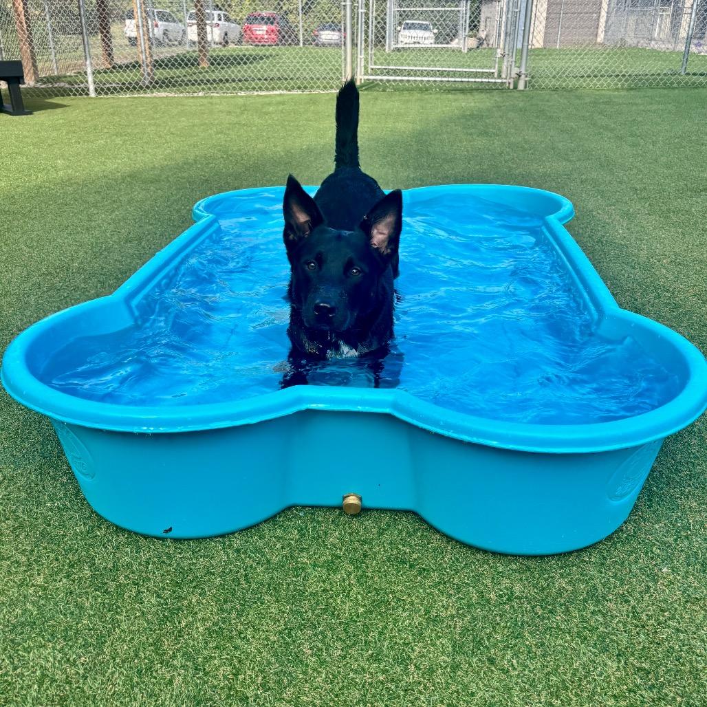 McGriddle