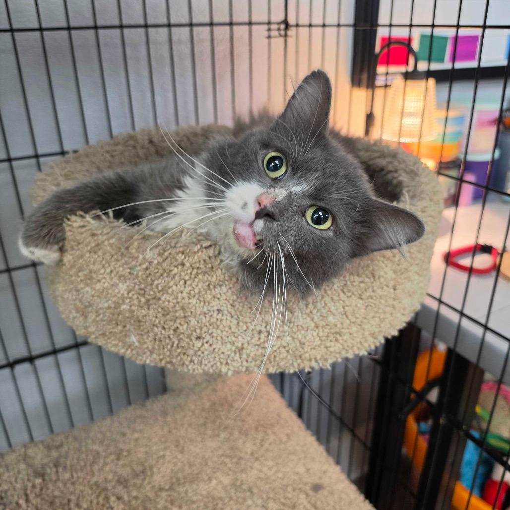 Nimbus