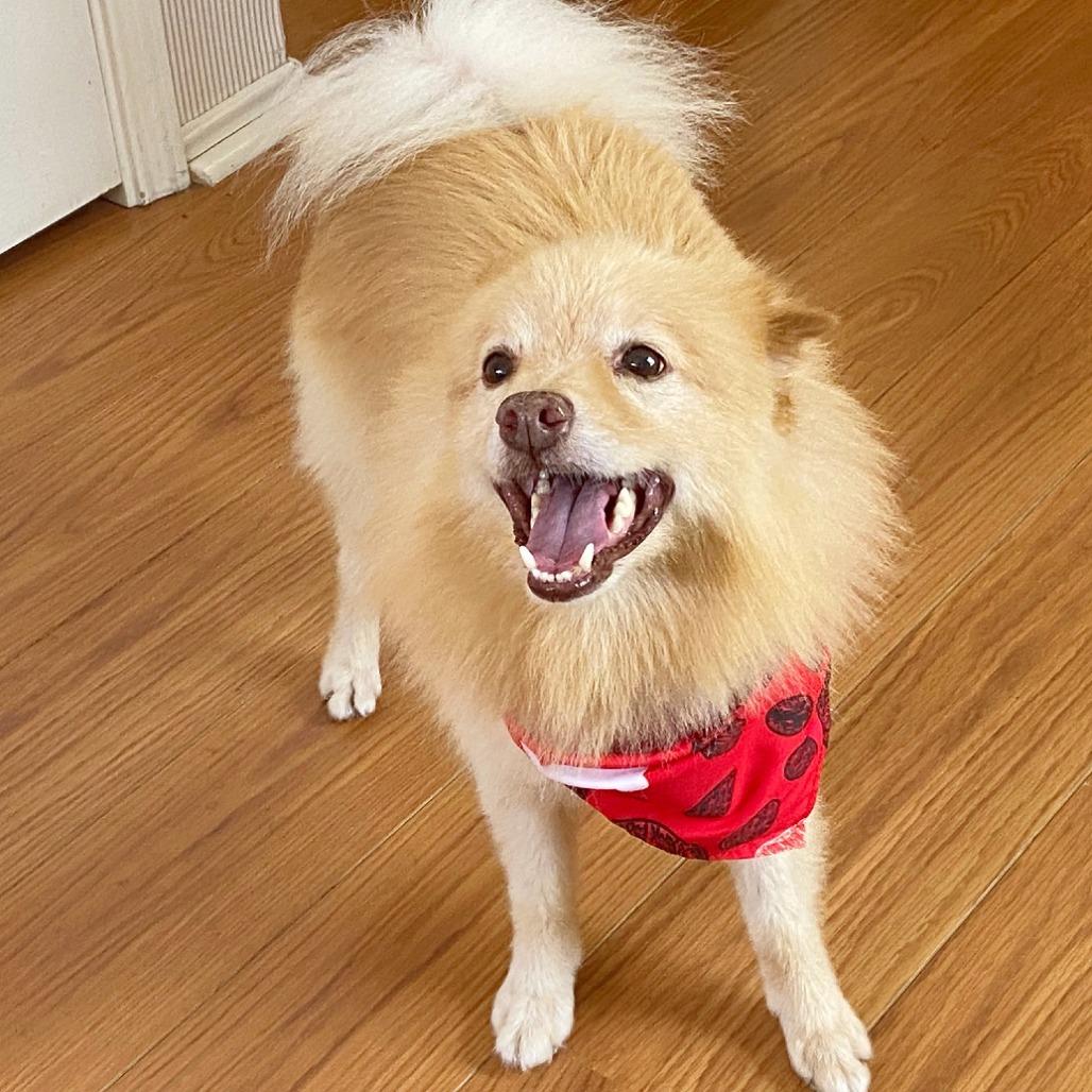 Max
