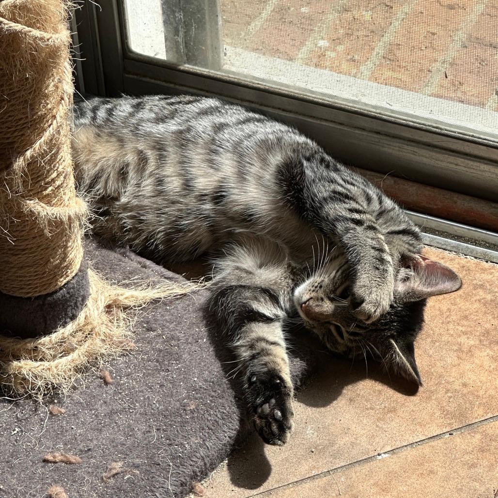 Marley  Ox Bottom PW