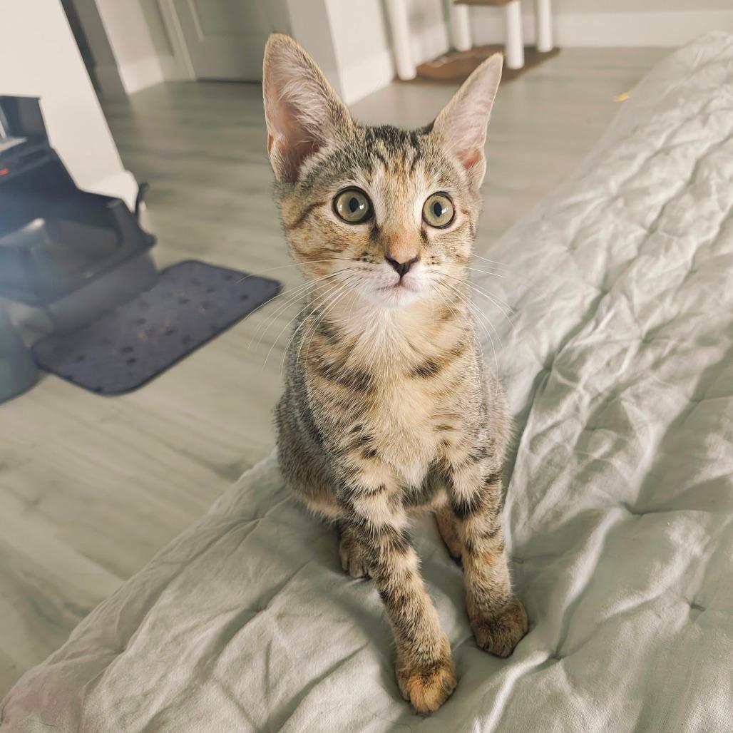 Kiara